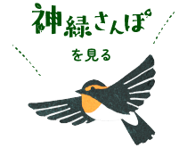 新緑さんぽをみる