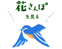 花さんぽを見る