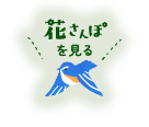 花さんぽを見る