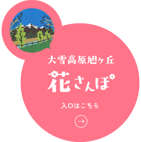 大雪高原旭ヶ丘　花さんぽ
