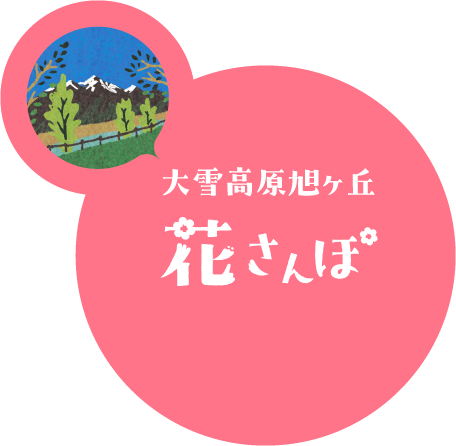 大雪高原旭ヶ丘　花さんぽ
